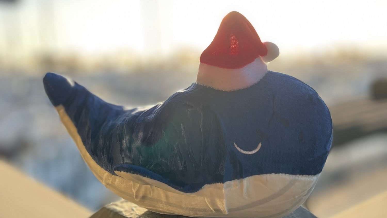 Whale on the Wharf