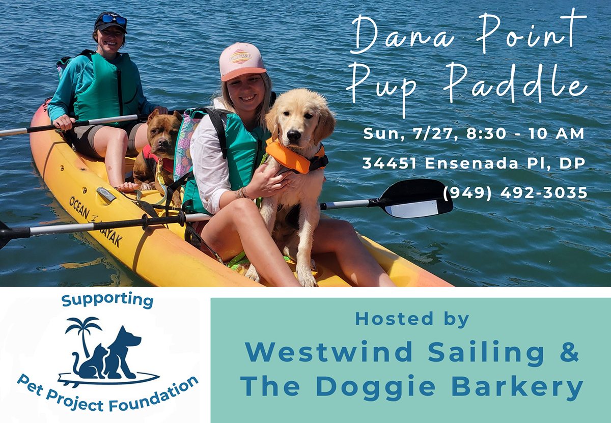 Event Flyer with Dogs in Kayak