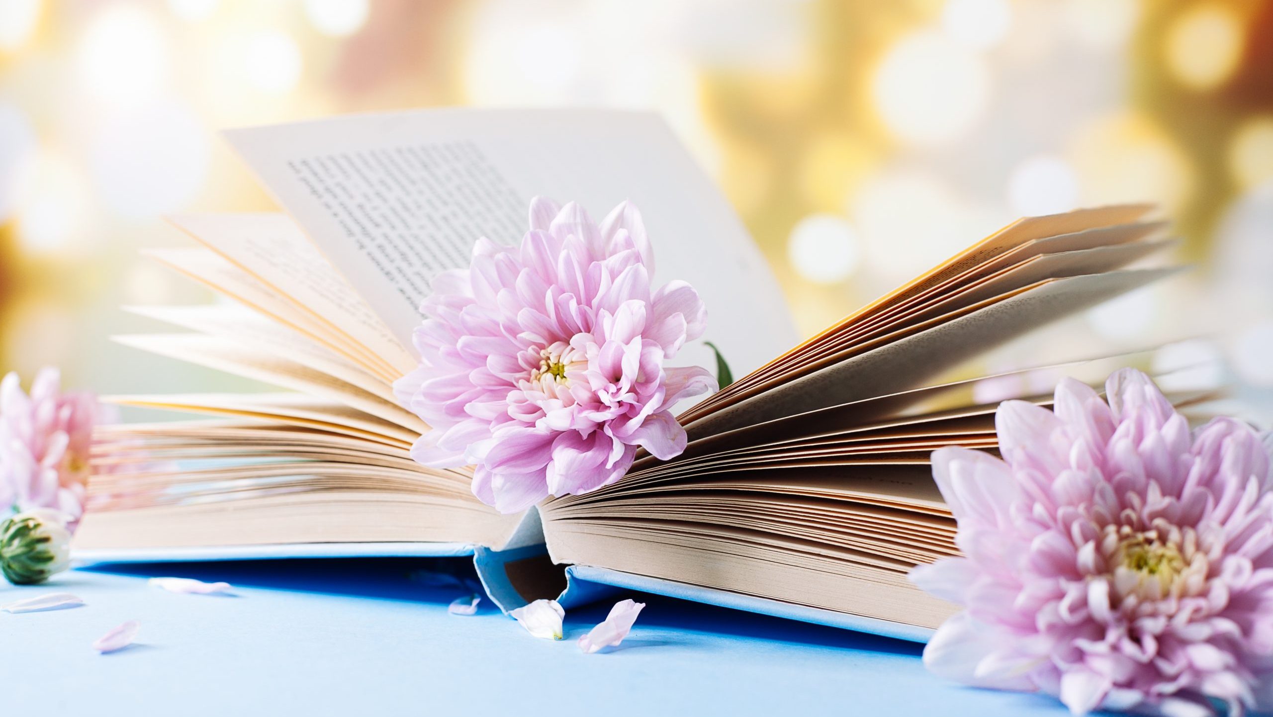 Open Book with Flowers on Top